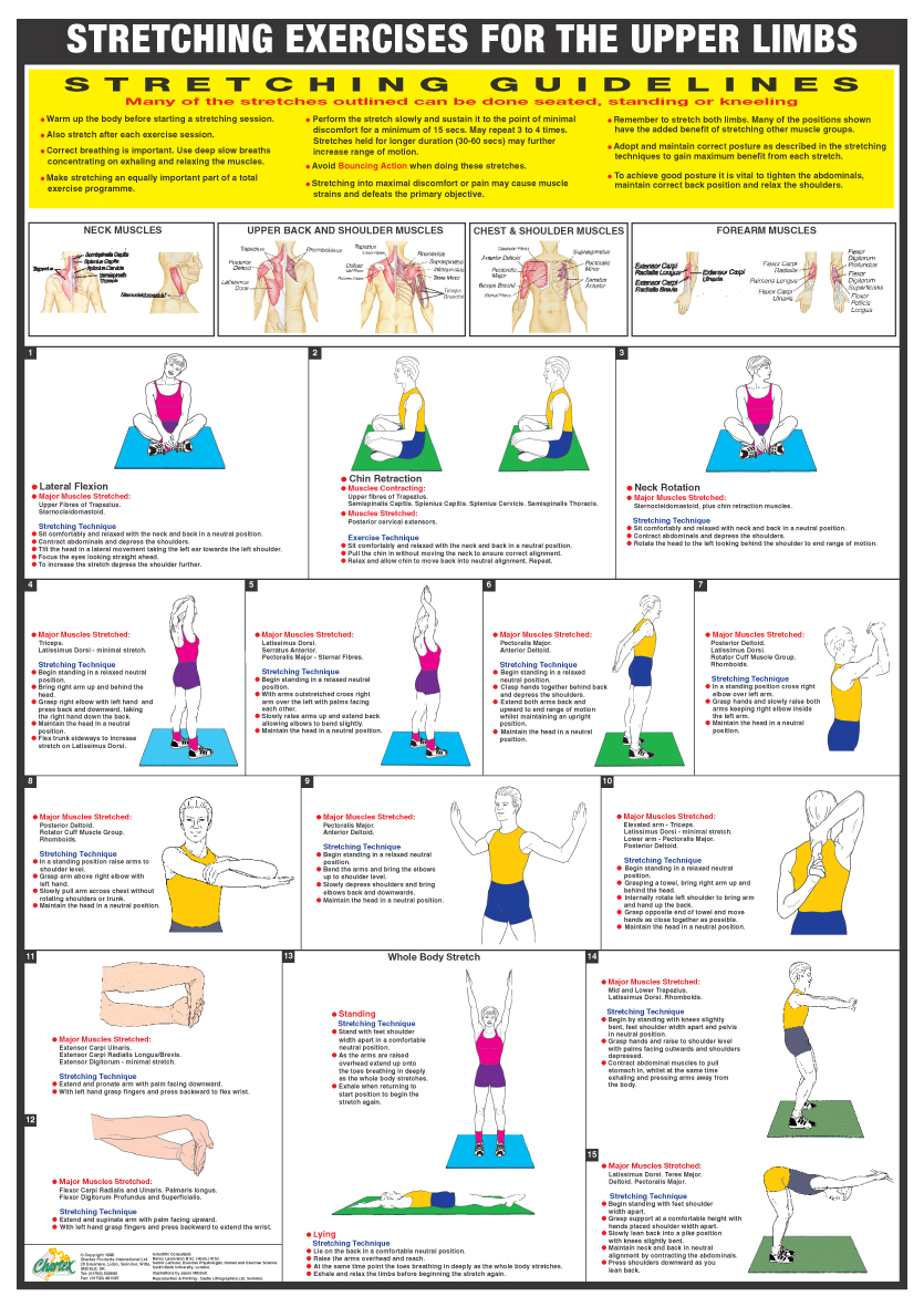 Upper Limb Stretch - A1 Chart