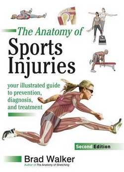 Sports Injuries: Your Illustrated Guide to Prevention, Diagnosis and Treatment