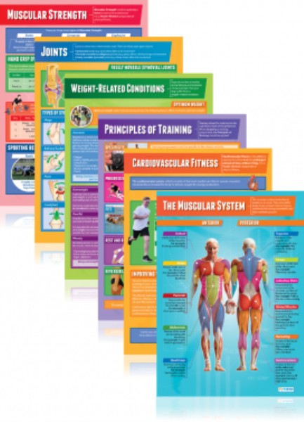 Set of 40 Physical Education - Laminated A1 Posters