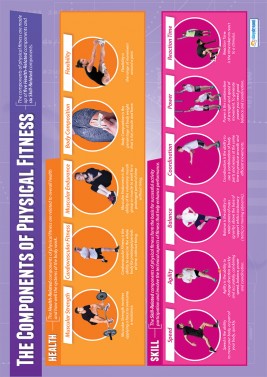 The Components of Physical Fitness - Laminated A1 Poster