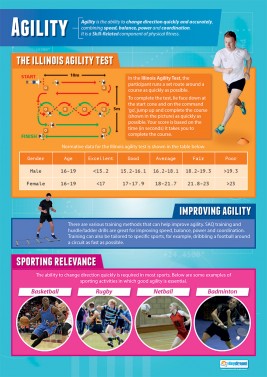 Agility - Laminated A1 Poster