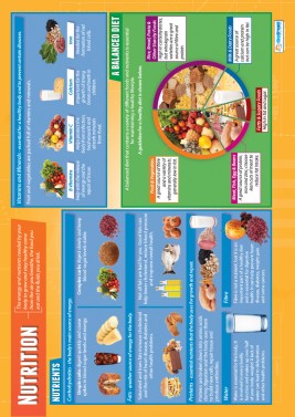 Nutrition - Laminated A1 Poster