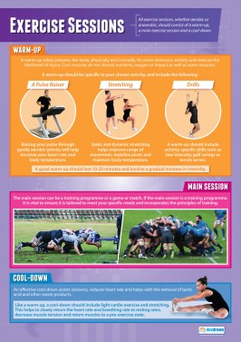 Exercise Sessions - Laminated A1 Poster