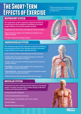 The Short-Term Effects of Exercise - Laminated A1 Poster