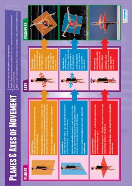 Planes and Axes of Movements  - Laminated A1 Poster