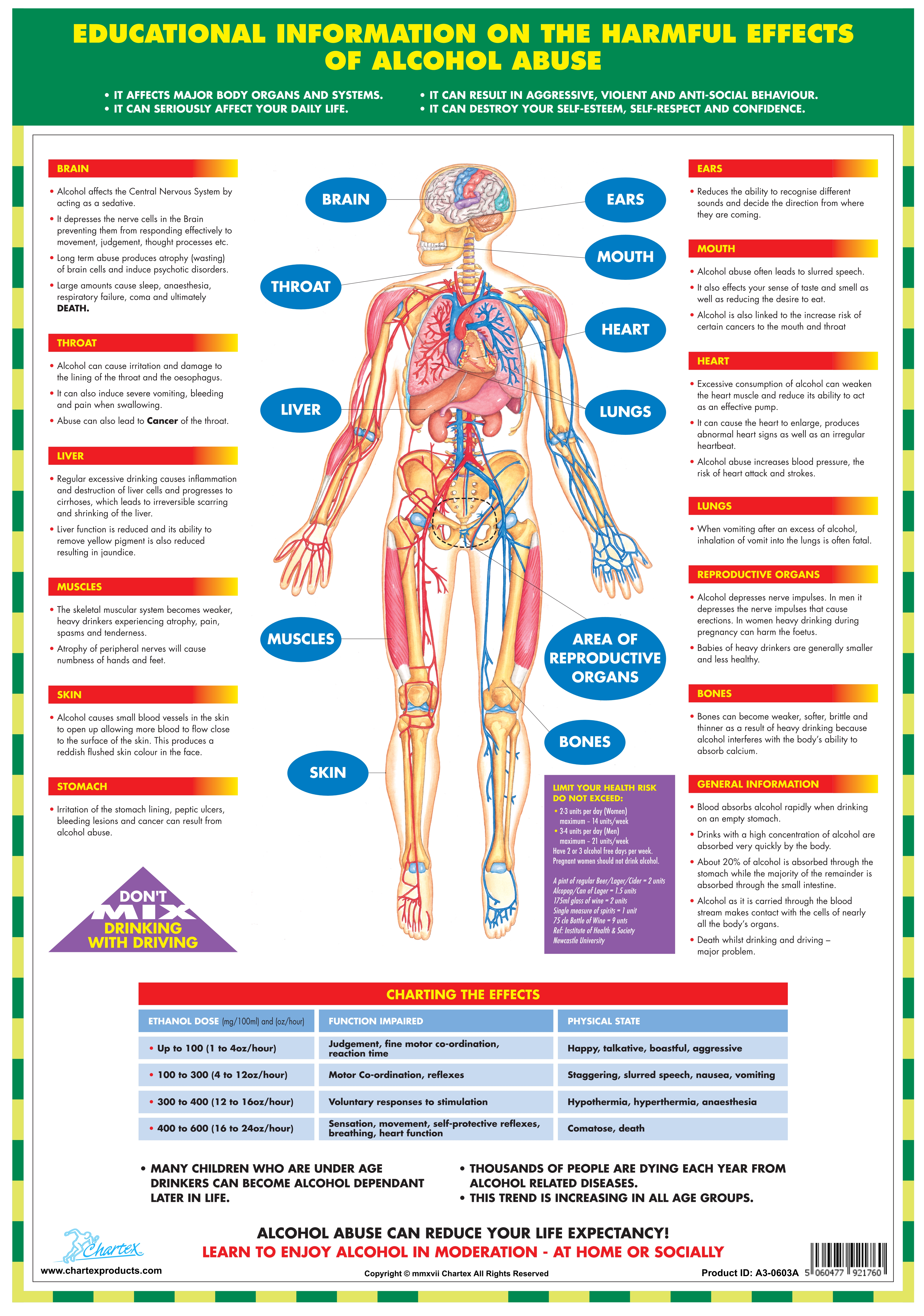Effects of Alcohol Abuse - A3 Chart
