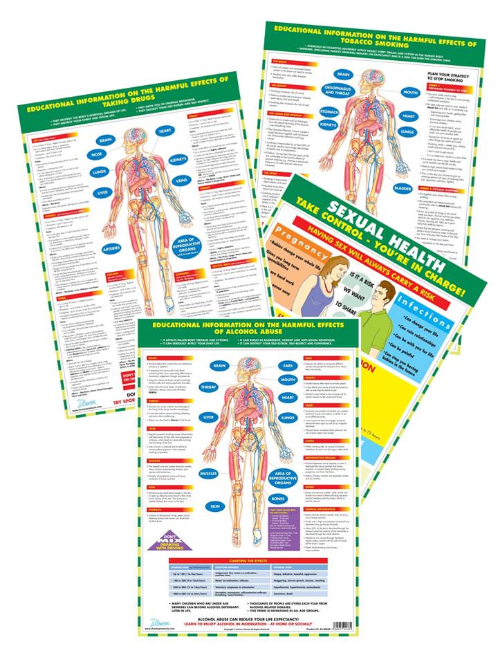 Personal Health Series - Set of 4 A3 Charts