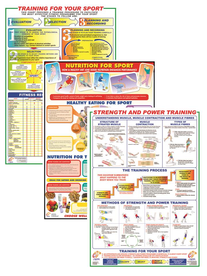 Sports Training Series - Set of 3 A1 Charts