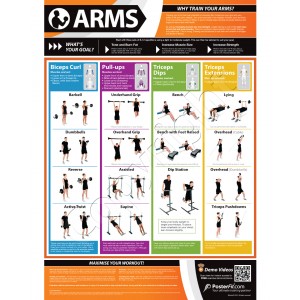 Arms A1 Laminated Weight Training Poster (840mm x 594mm)