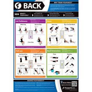 Back A1 Laminated Weight Training Poster (840mm x 594mm)