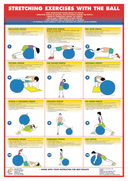 Exercise Ball Charts - Set of 4 B2 Charts
