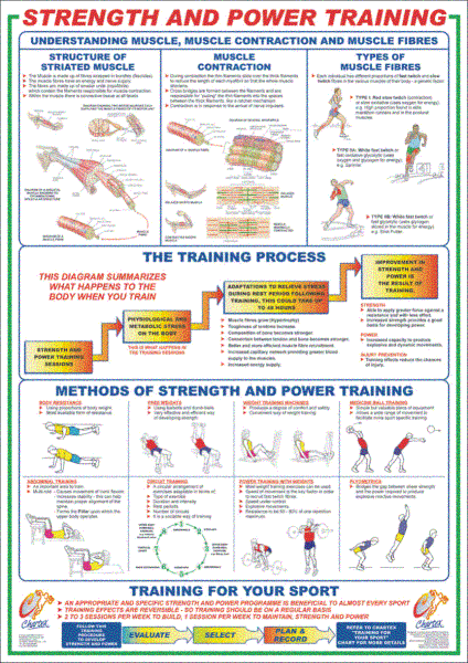 Strength & Power Training - A1 Chart