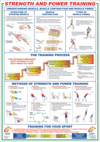 Fitness Wall Charts