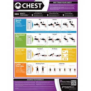 Chest A1 Laminated Weight Training Poster (840mm x 594mm)