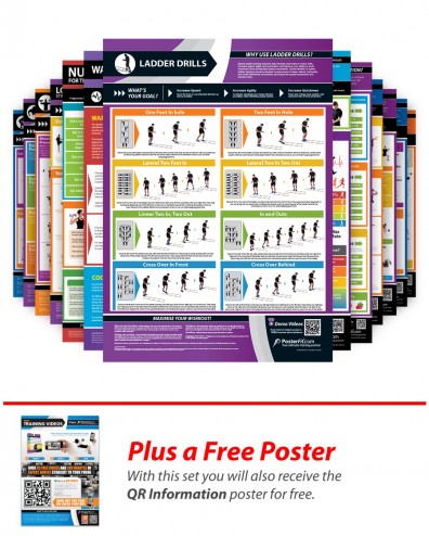Full Set of 20 A1 Laminated Weight Training Posters (840mm x 595mm)