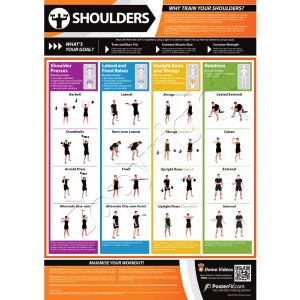 Shoulders A1 Laminated Weight Training Poster (840mm x 594mm)