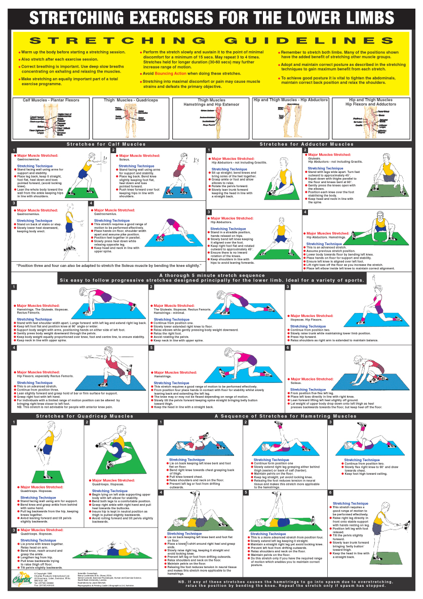 Lower Limb Stretch - A1 Chart