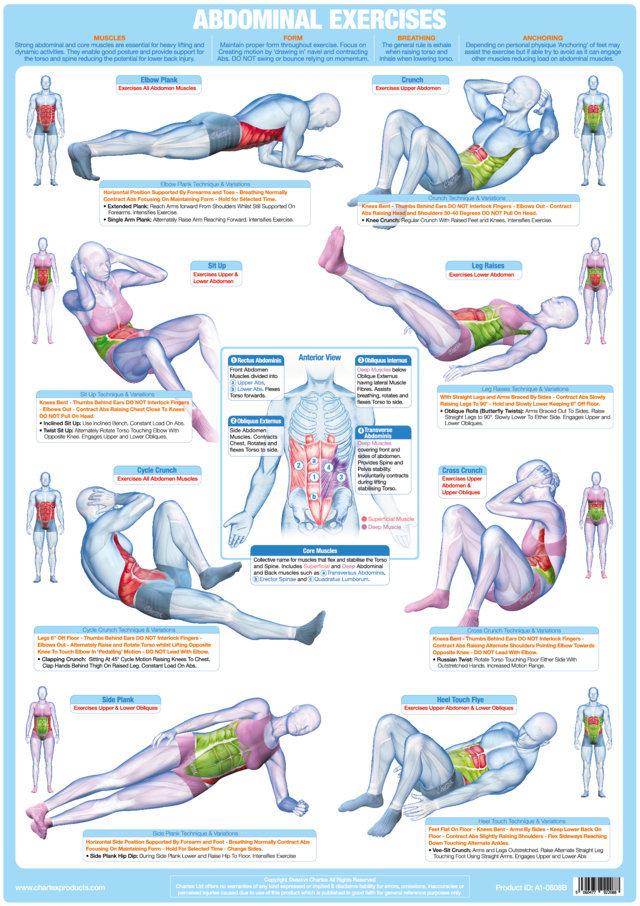 Abdominal Exercises Chart - A1 Poster