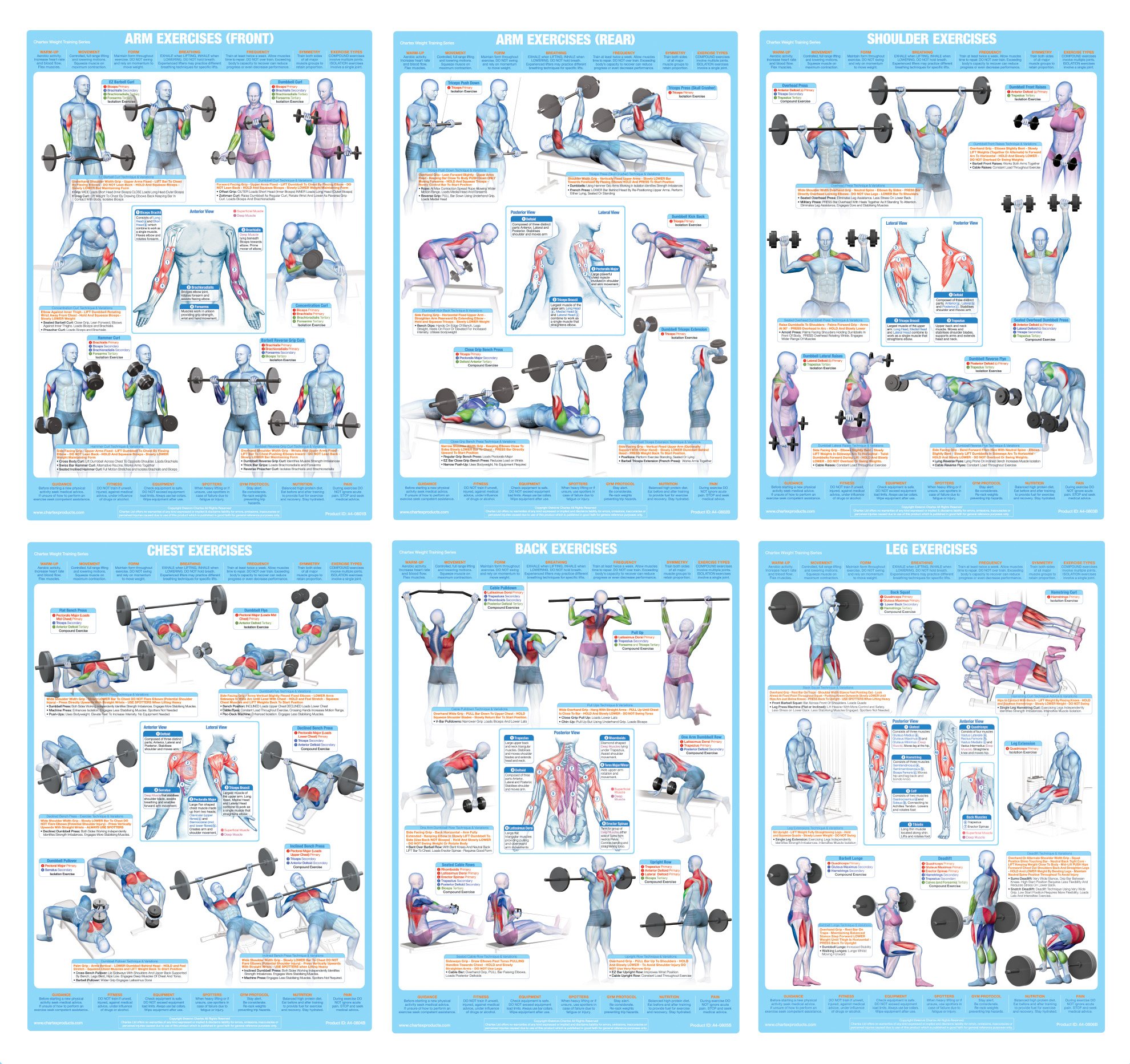 Weight Training Series - Set of 6 A1 Charts