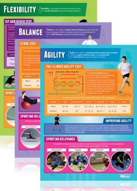 Set of 12 Components of Physical Fitness  - Laminated A1 Posters