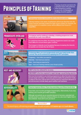 Principles of Training  - Laminated A1 Poster