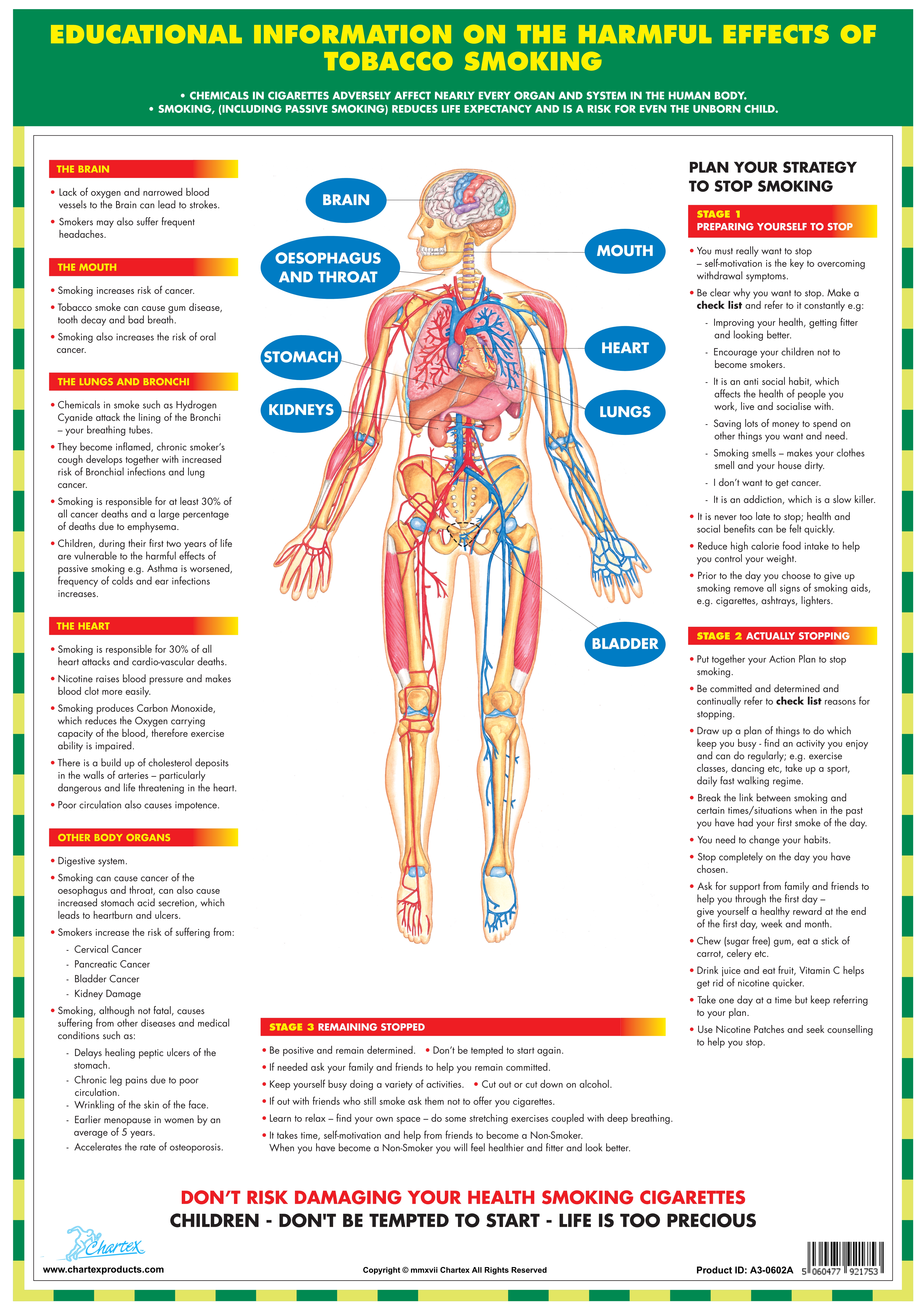 Effects of Tobacco Smoking - A3 Chart