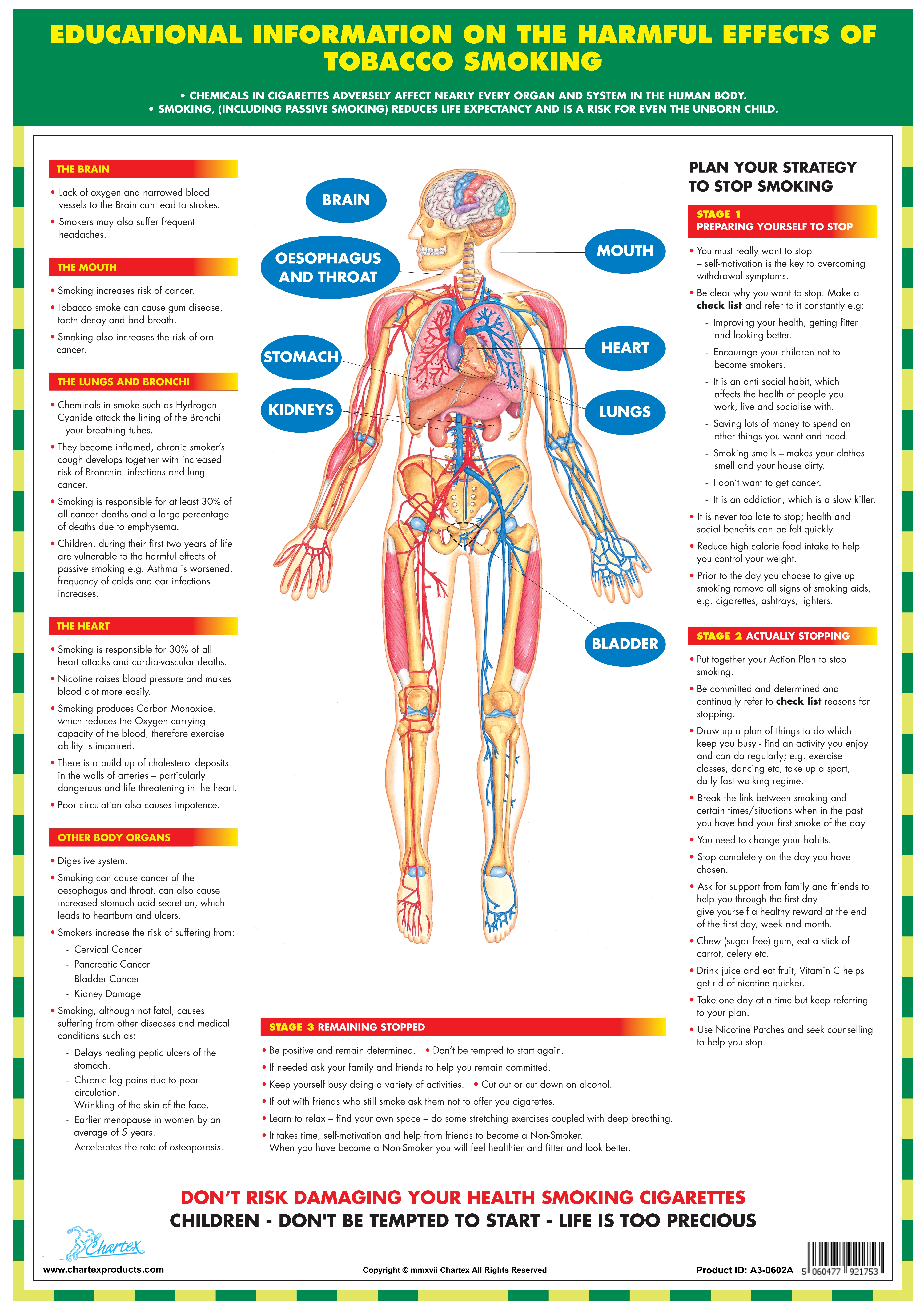 Chart Of Smoking Effects