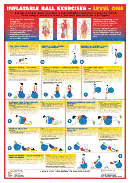 Exercise Ball Level 1 - B2 Chart