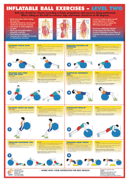 Exercise Ball Level 2 - B2 Chart