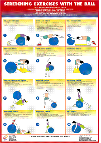 Exercise Ball Stretch - B2 Chart